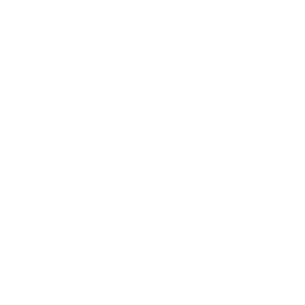 Entrevista profunda (Manpower)