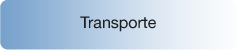 MP_HOME_BOTON TRANSPORTE