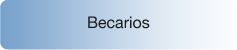 MP_HOME_SERVS_BECARIOS